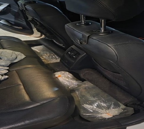 Fish found on the floorboards of the passenger seats of the vehicle